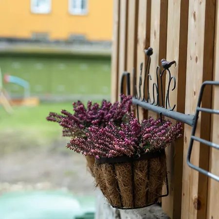 Apartamento Garden Next To Telliskivi & Old Town
