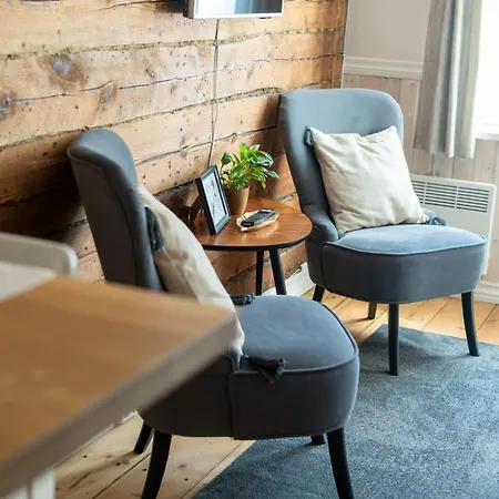 Garden Next To Telliskivi & Old Town Tallinn