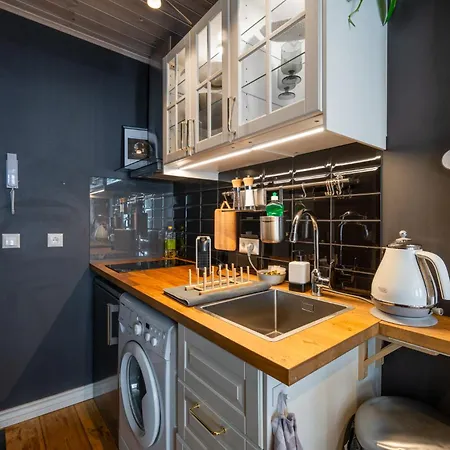 Garden Next To Telliskivi & Old Town 公寓