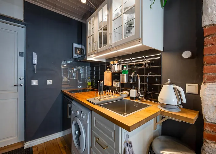 Garden Next To Telliskivi & Old Town 公寓