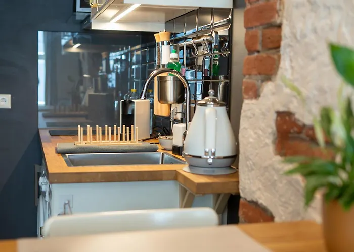 Garden Next To Telliskivi & Old Town 塔林