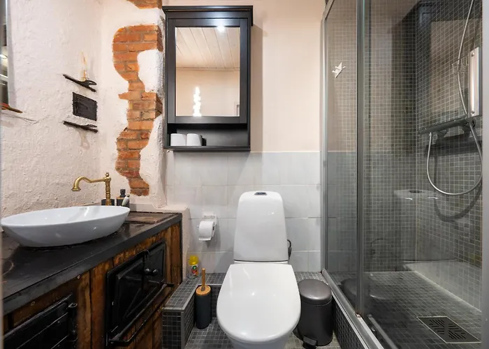 公寓 Garden Next To Telliskivi & Old Town 塔林