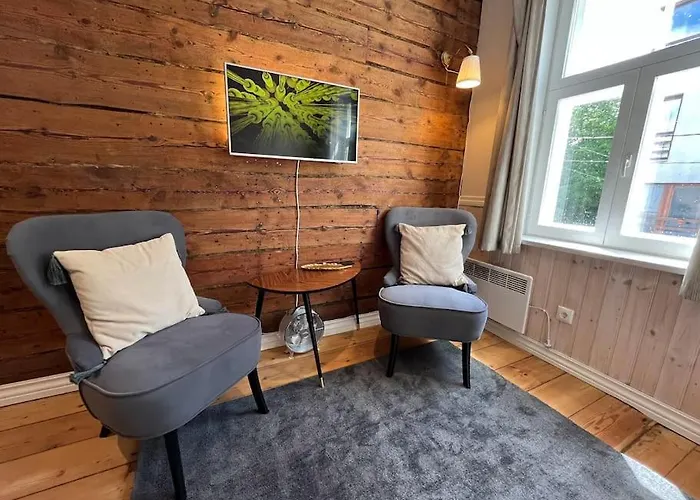 Garden Next To Telliskivi & Old Town 公寓 *